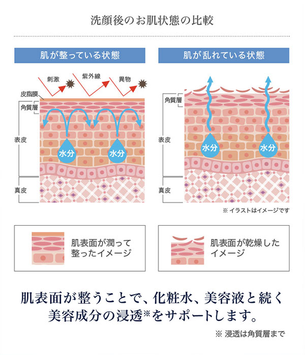 洗顔後の肌状態の比較画像